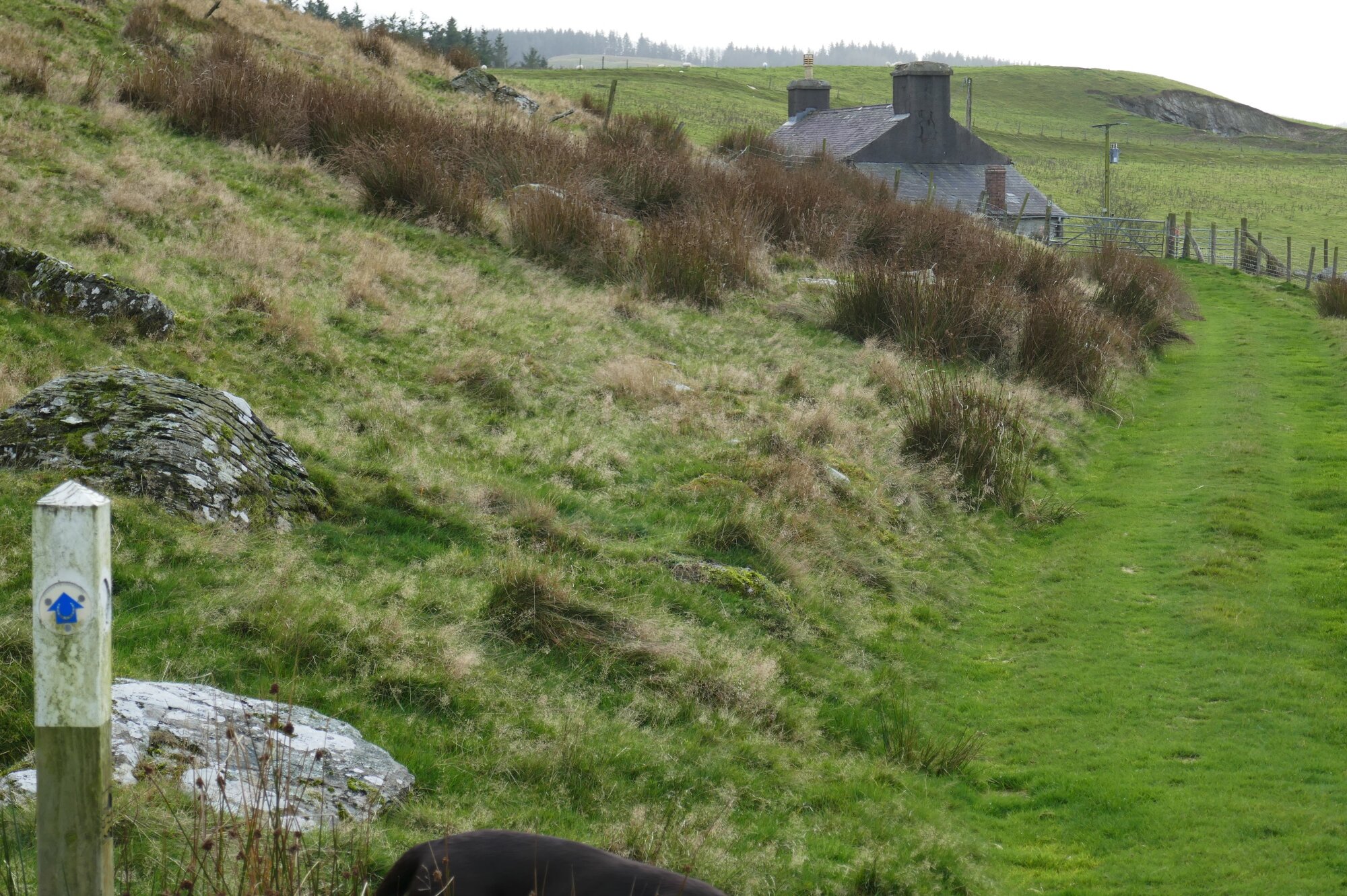 RachelSeabrook.net | Wild Walking | Teifi Pools | pic41